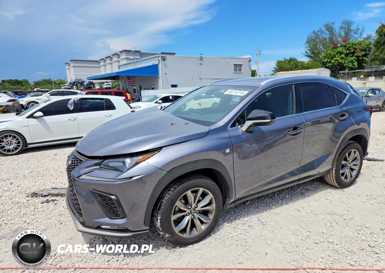 2020 Lexus Nx 300 F Sport