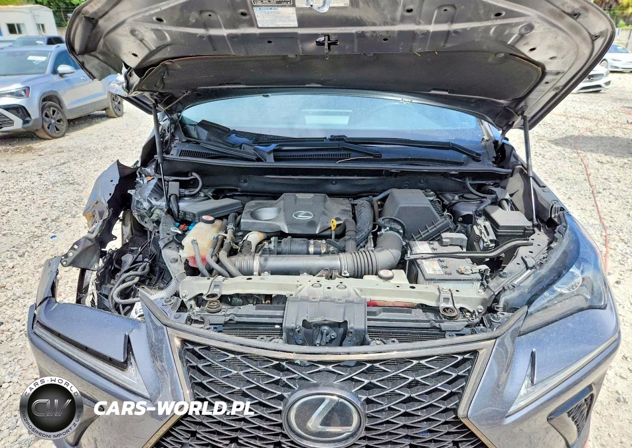 2020 Lexus Nx 300 F Sport VIN:JTJJARBZ2L5004508 - 11