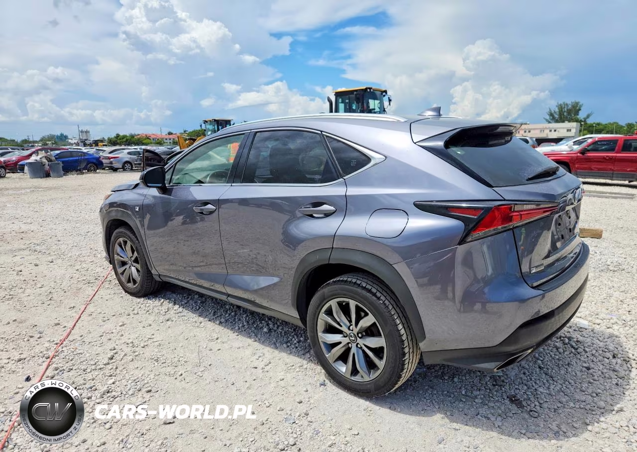 2020 Lexus Nx 300 F Sport VIN:JTJJARBZ2L5004508 - 2