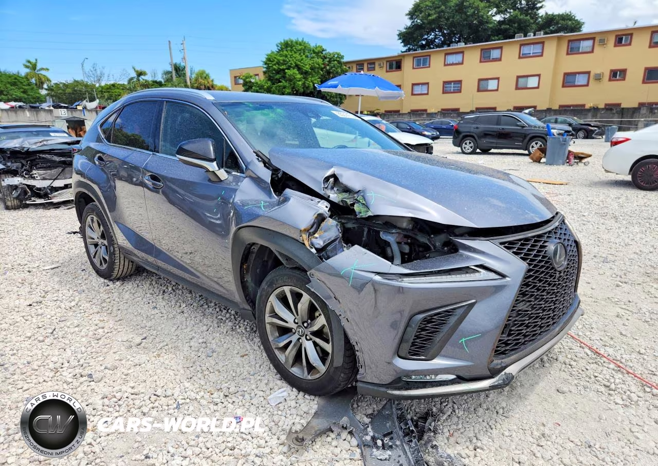 2020 Lexus Nx 300 F Sport VIN:JTJJARBZ2L5004508 - 4