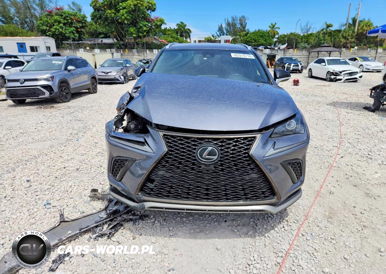 2020 Lexus Nx 300 F Sport VIN:JTJJARBZ2L5004508 - 5