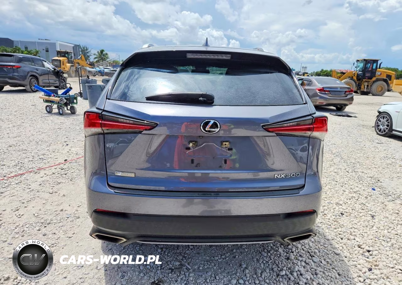 2020 Lexus Nx 300 F Sport VIN:JTJJARBZ2L5004508 - 6