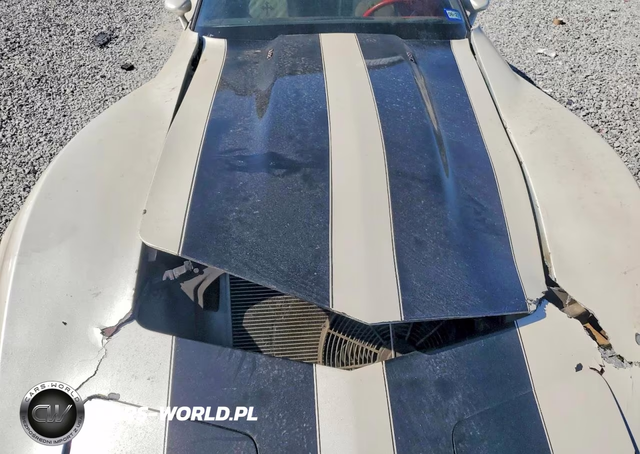 1979 Chevrolet Corvette VIN:1Z8749S403563 - 11