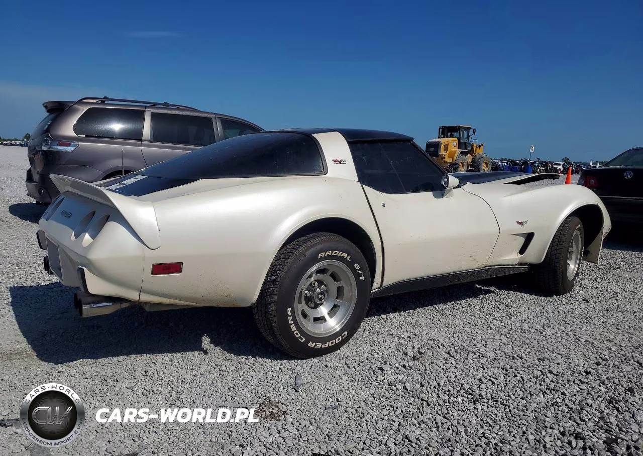 1979 Chevrolet Corvette VIN:1Z8749S403563 - 3