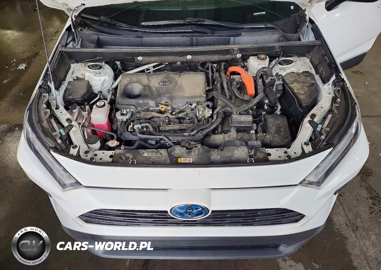 2024 Toyota Rav4 Le VIN:4T3LWRFV3RU144816 - 11