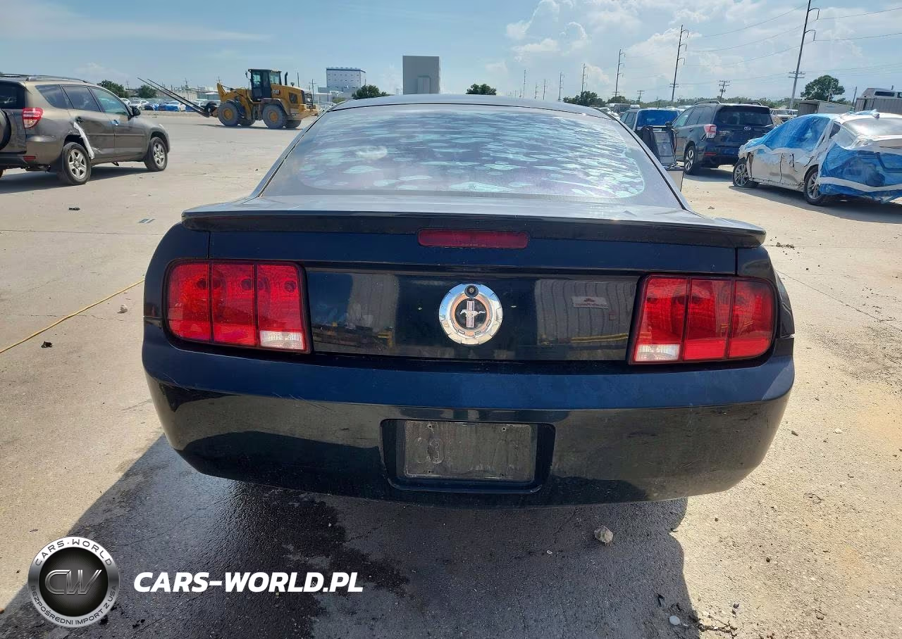 2008 Ford Mustang V6 Deluxe-V6 Premium VIN:1ZVHT80NX85164937 - 6