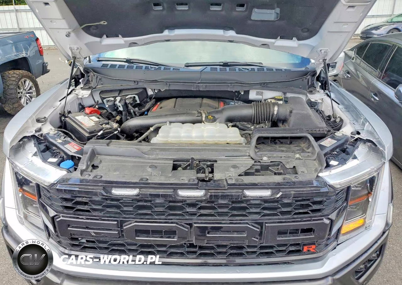 2022 Ford F150 Raptor VIN:1FTFW1RG3NFC43014 - 11