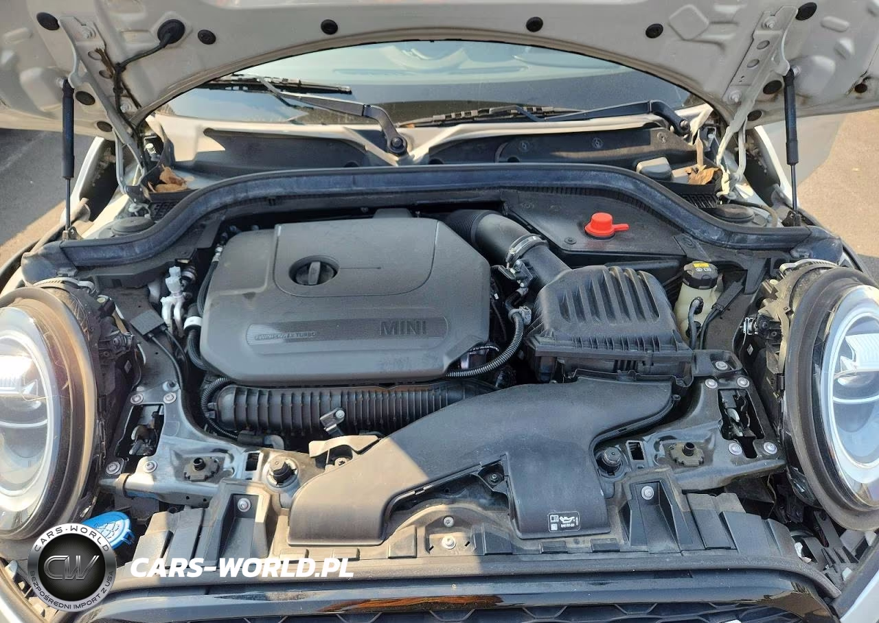 2021 Mini Cooper S VIN:WMWXR5C03M2N02022 - 11
