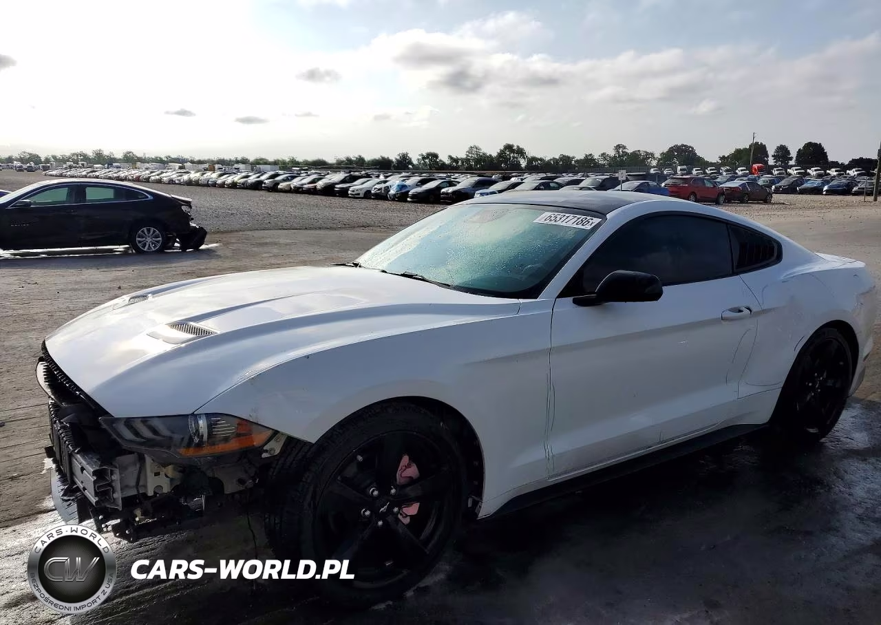 2021 Ford Mustang VIN:1FA6P8THXM5128900 - 1
