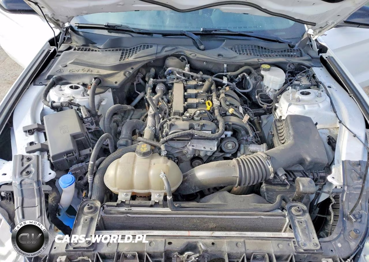 2021 Ford Mustang VIN:1FA6P8THXM5128900 - 11