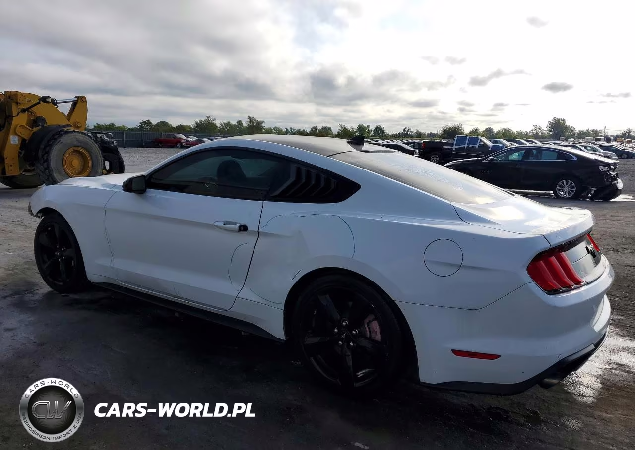 2021 Ford Mustang VIN:1FA6P8THXM5128900 - 2