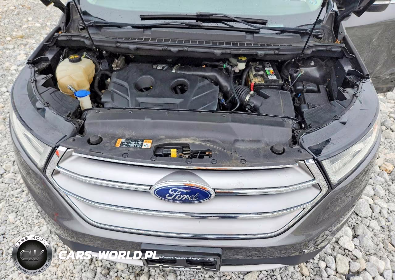 2017 Ford Edge Sel VIN:2FMPK4J9XHBC30325 - 12