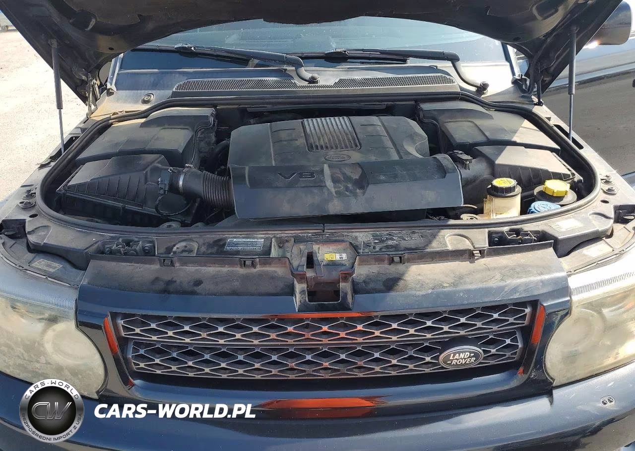 2013 Land Rover Range Rover Sport Hse VIN:SALSF2D40DA807613 - 12