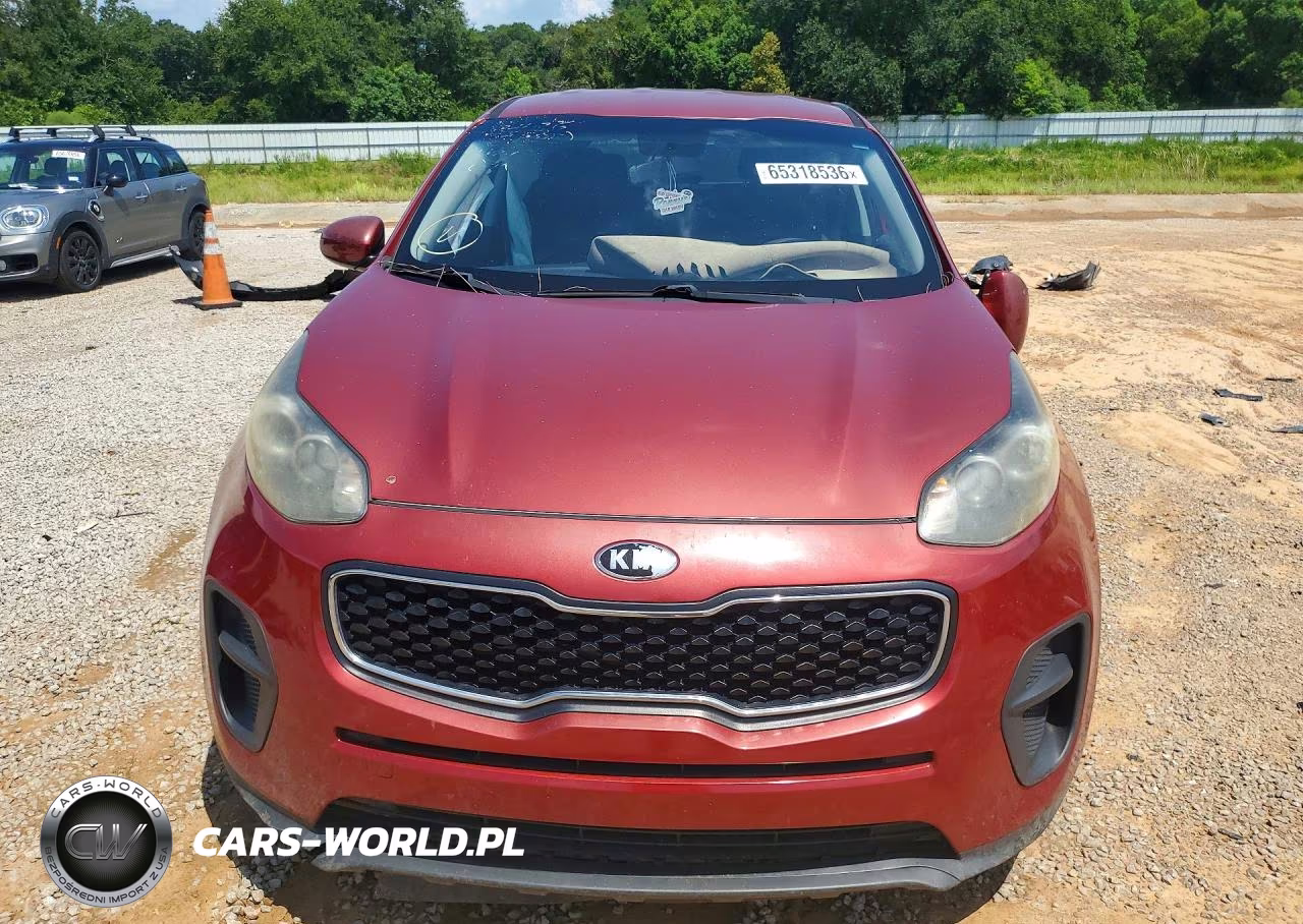 2017 Kia Sportage Lx VIN:KNDPM3AC9H7206594 - 5