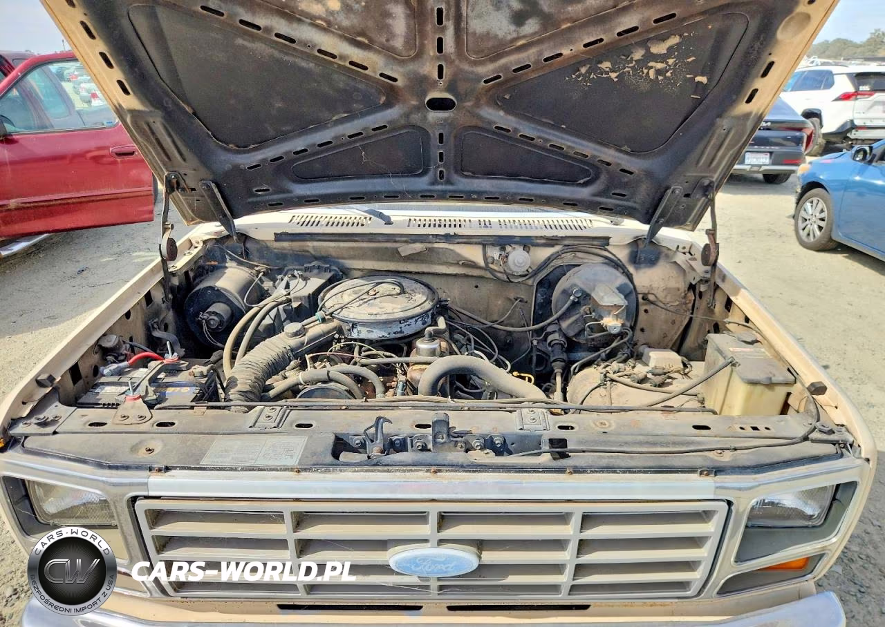 1983 Ford F100 VIN:1FTCF10Y0DPA91808 - 12