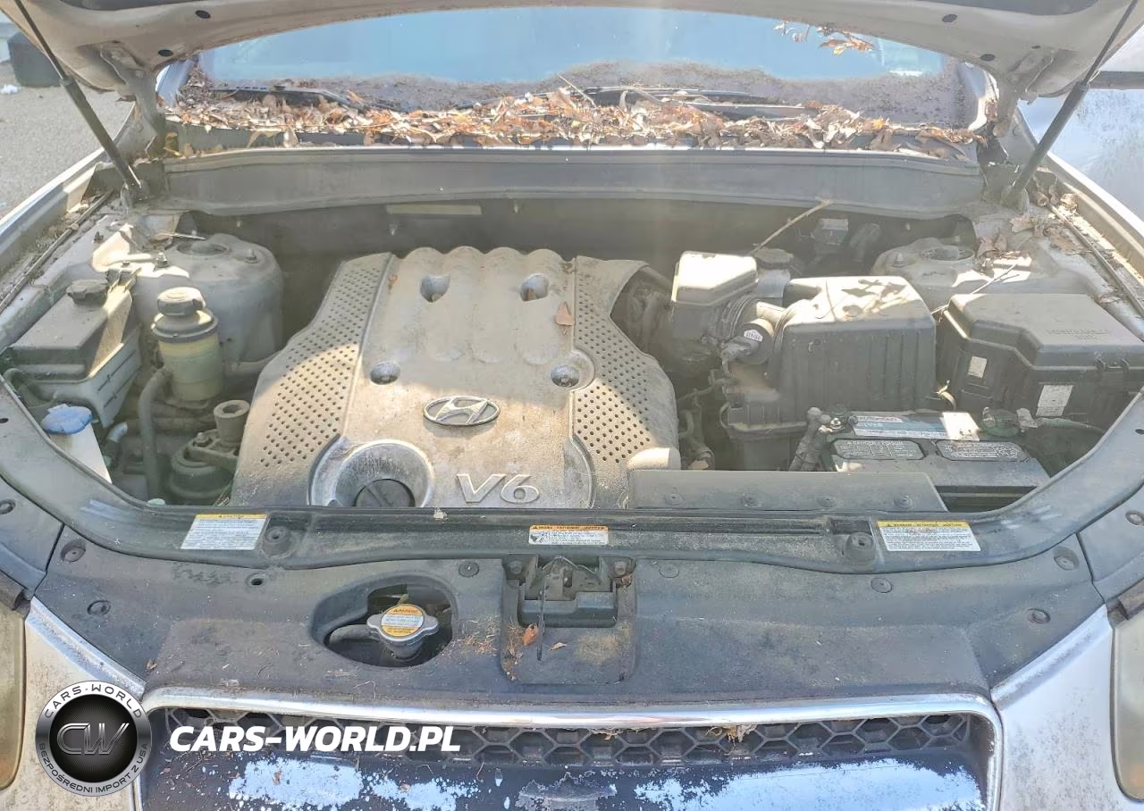 2007 Hyundai Santa Fe Gls VIN:5NMSG13D87H047778 - 11