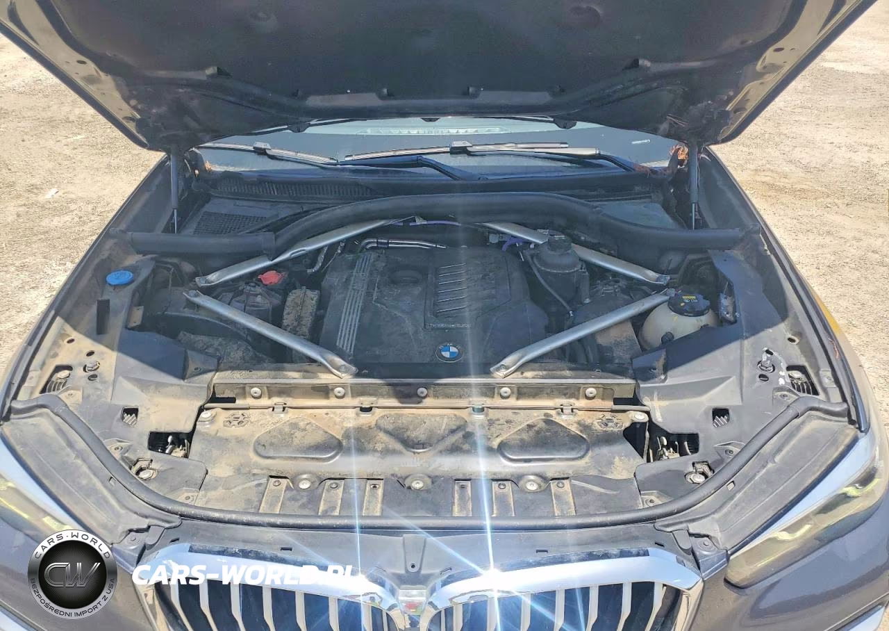 2021 BMW X5 Sdrive 40I VIN:5UXCR4C02M9F73264 - 11