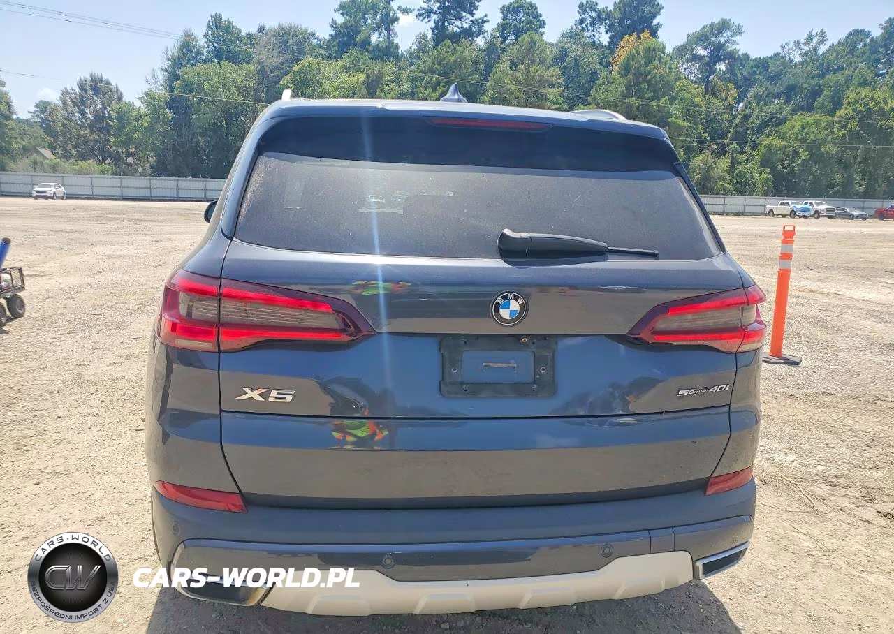 2021 BMW X5 Sdrive 40I VIN:5UXCR4C02M9F73264 - 6