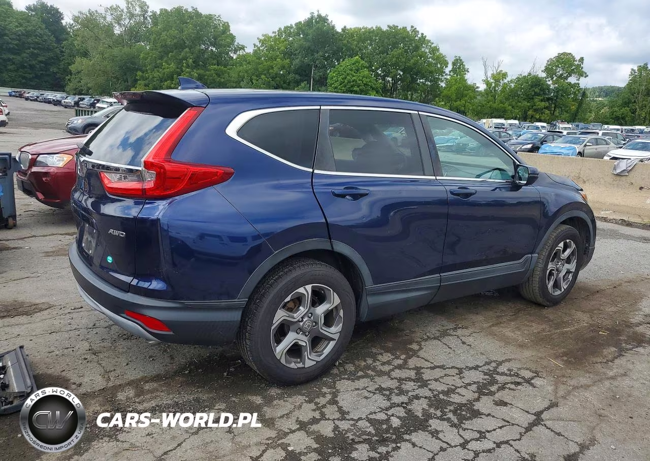 2019 Honda Cr-V Exl VIN:5J6RW2H87KL006255 - 3