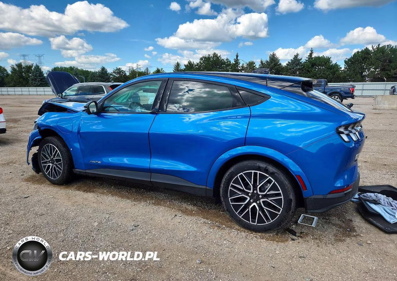 2025 Ford Mustang Mach-E Premium VIN:3FMTK3S54SMA23374 - 2