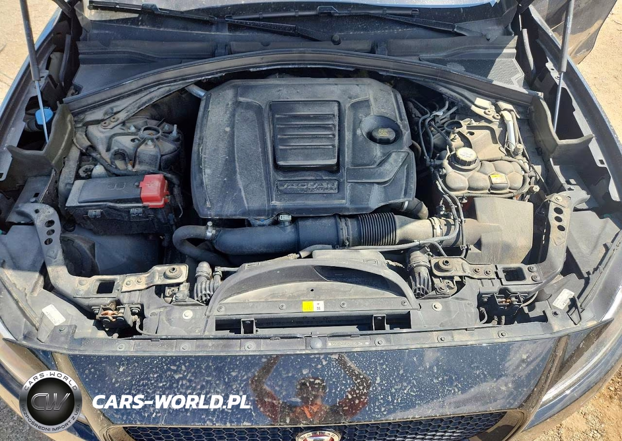 2018 Jaguar F-Pace Premium VIN:SADCJ2FX7JA293180 - 11