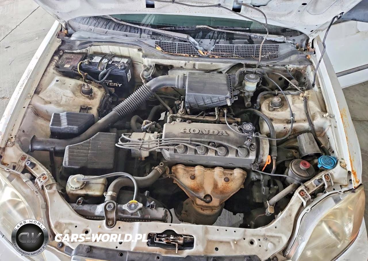 1996 Honda Civic Dx VIN:1HGEJ6620TL016007 - 11