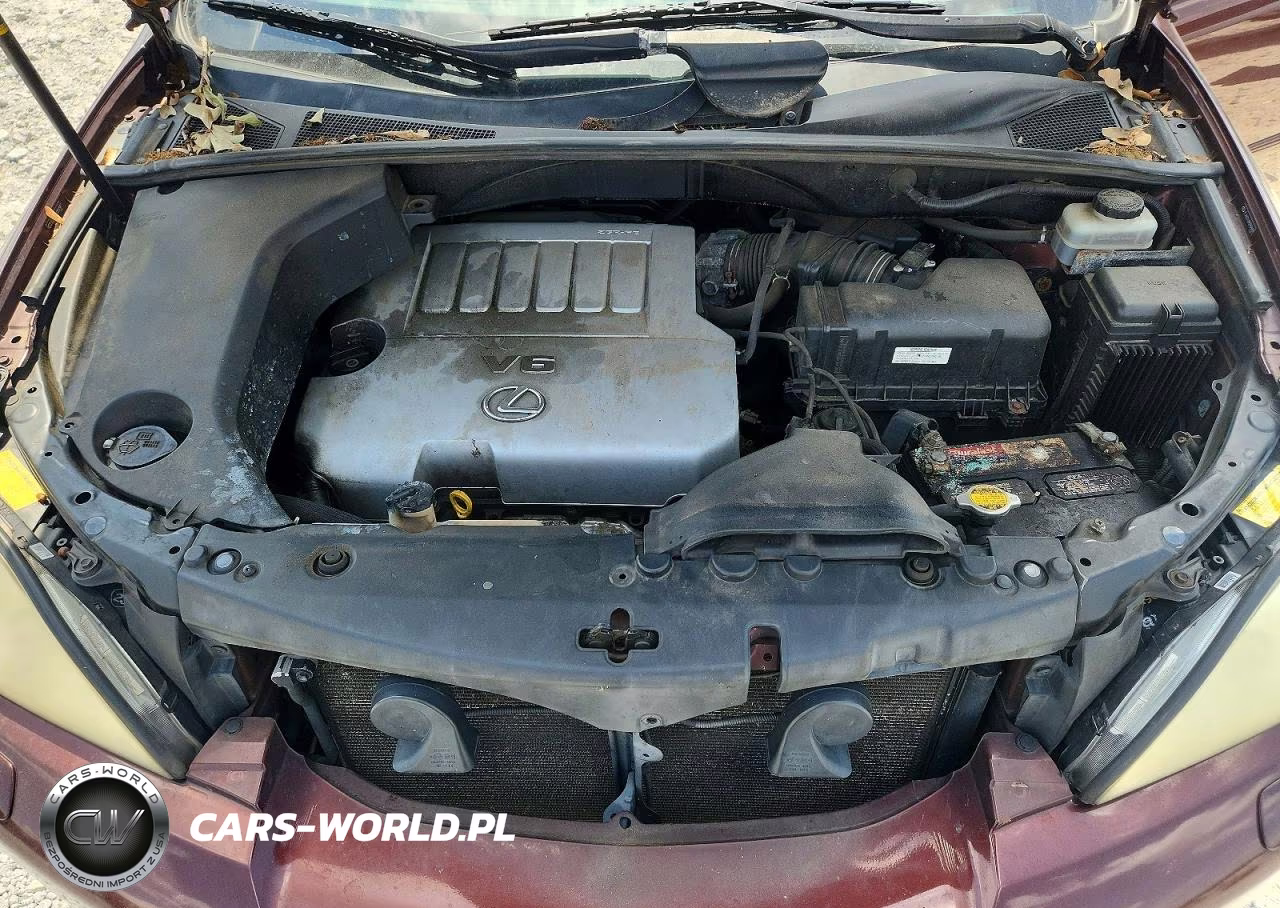 2008 Lexus Rx 350 VIN:JTJHK31U882850987 - 12