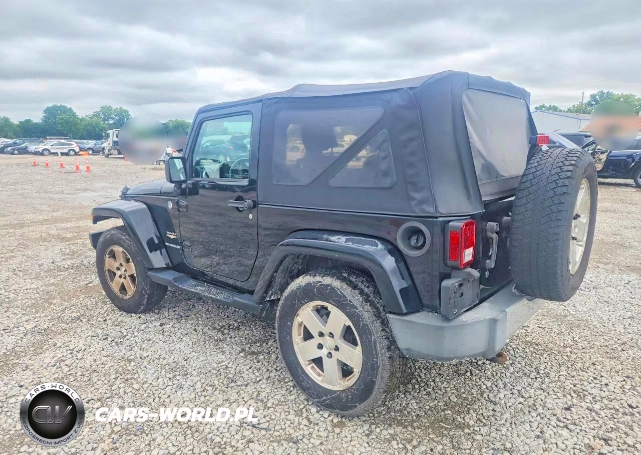 2009 Jeep Wrangler Sahara VIN:1J4FA54139L775910 - 2