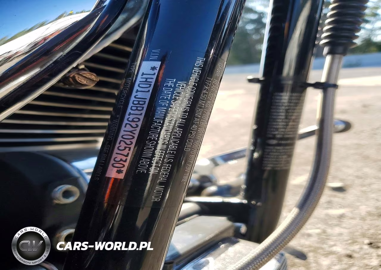 2002 Harley-Davidson Fxstdi VIN:1HD1JBB192Y025730 - 10