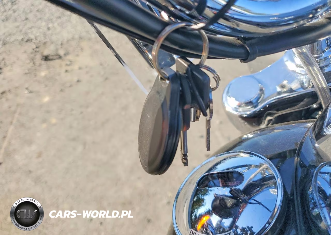 2002 Harley-Davidson Fxstdi VIN:1HD1JBB192Y025730 - 8
