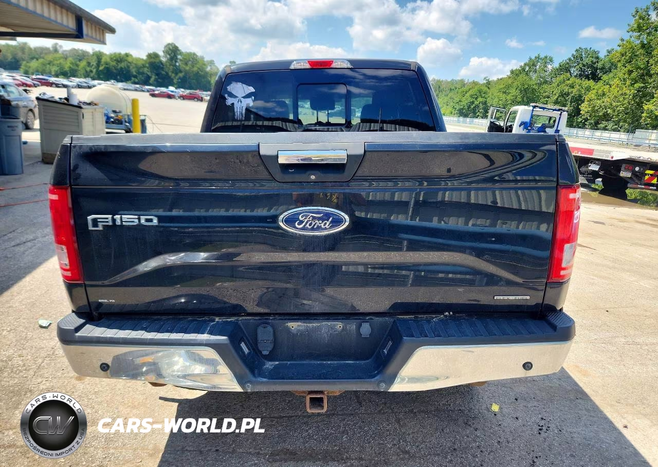 2015 Ford F150 Supercrew VIN:1FTEW1EF7FFA95086 - 6