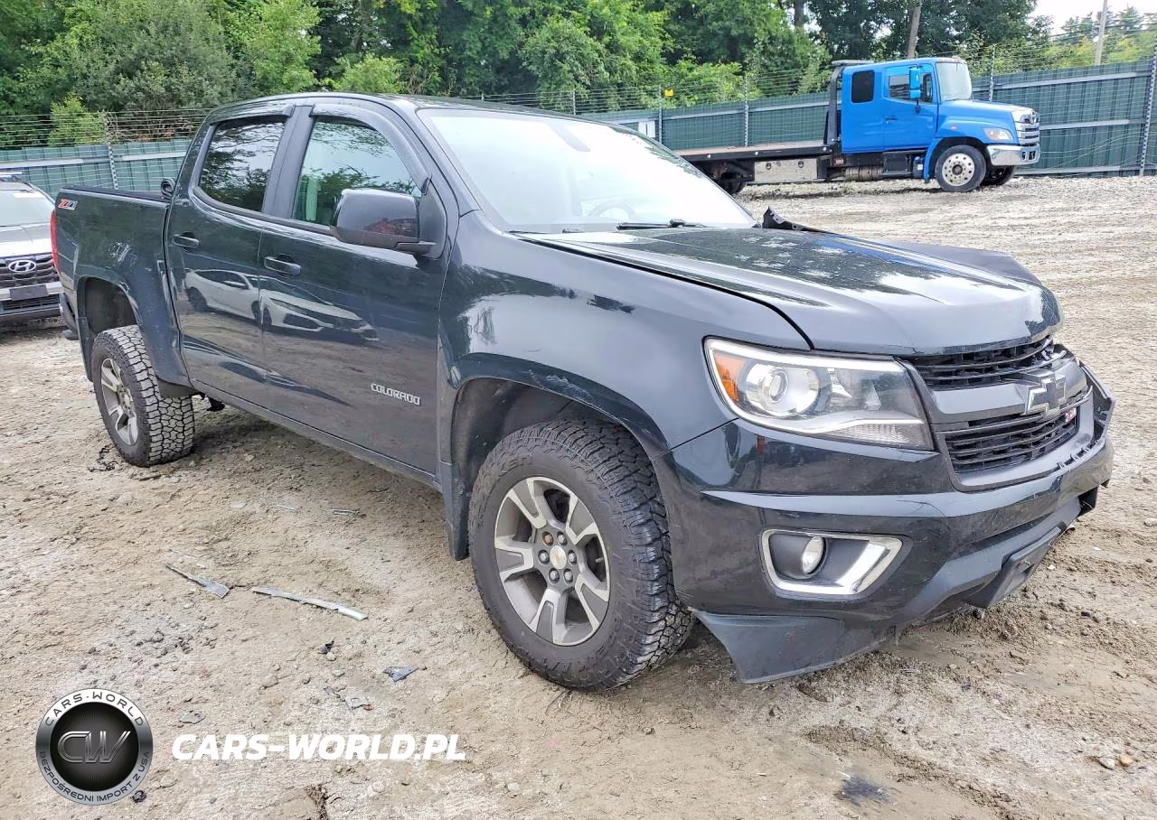 2016 Chevrolet Colorado Z71 VIN:1GCGTDE37G1249383 - 4