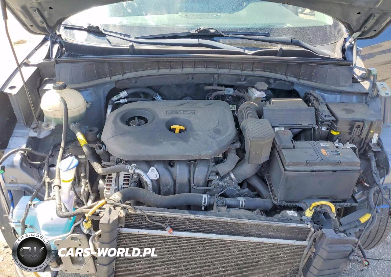 2019 Hyundai Tucson Se VIN:KM8J2CA44KU012080 - 12