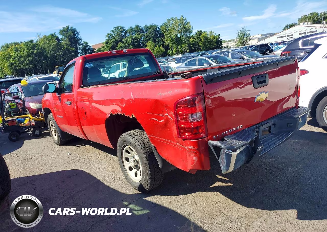 2013 Chevrolet Silverado C1500 VIN:1GCNCPEX6DZ398943 - 2
