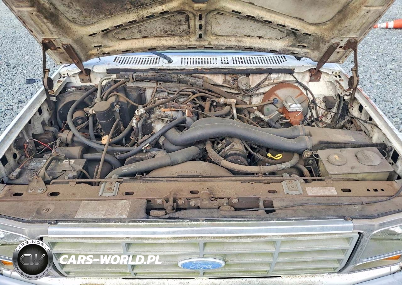 1984 Ford F150 VIN:1FTCF15Y4ENA83569 - 11