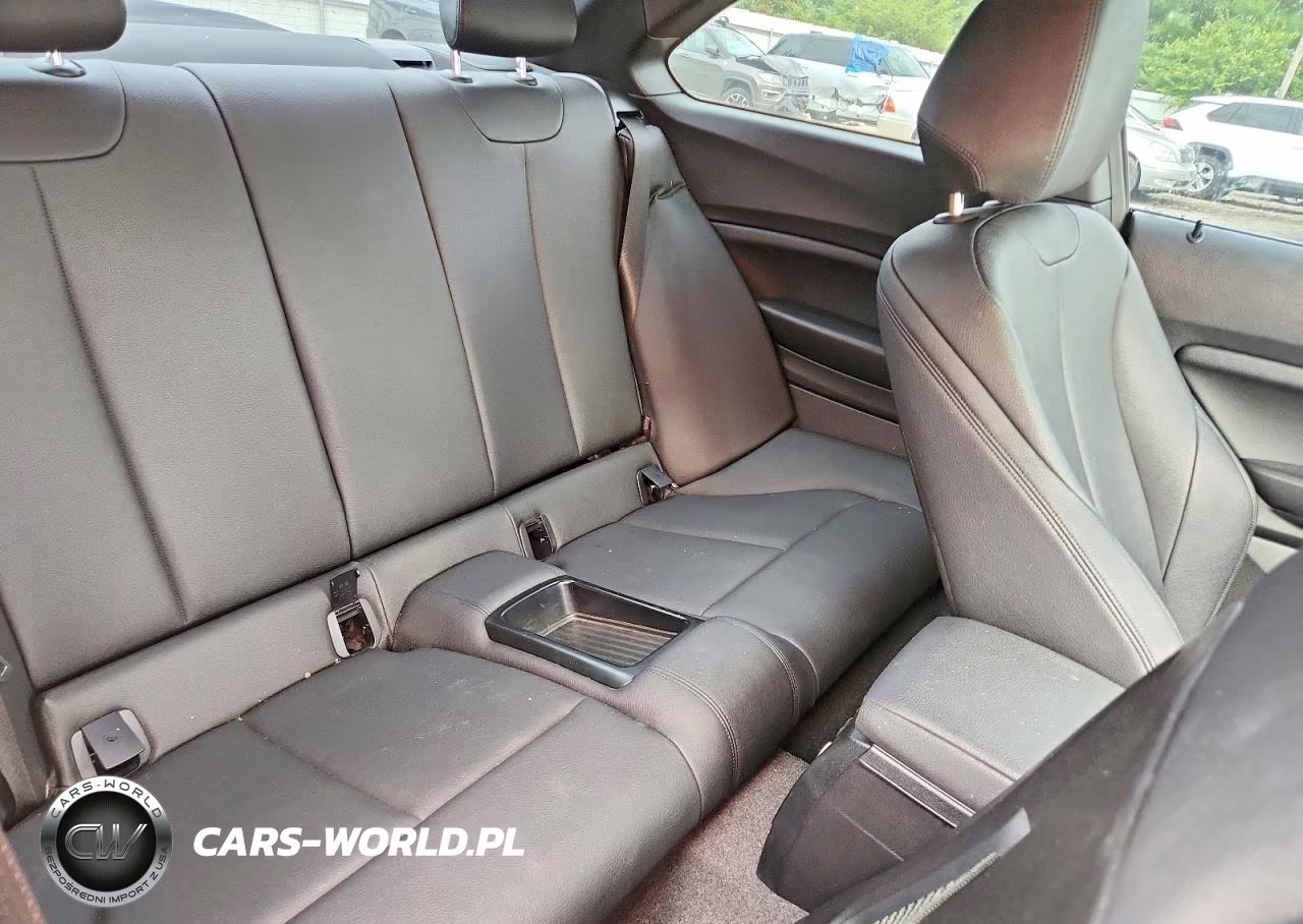 2017 BMW 230Xi VIN:WBA2H9C32HV642405 - 10