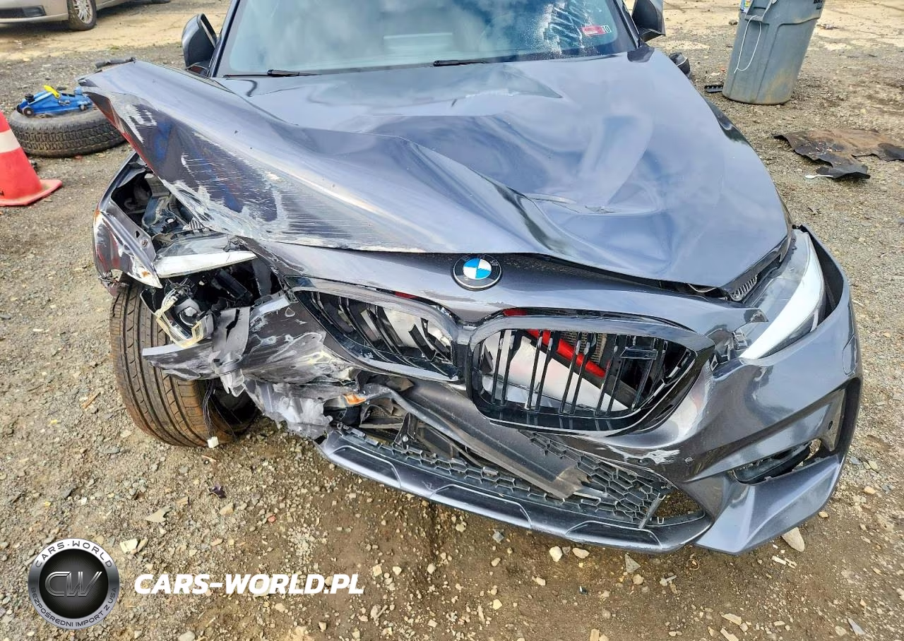 2017 BMW 230Xi VIN:WBA2H9C32HV642405 - 11