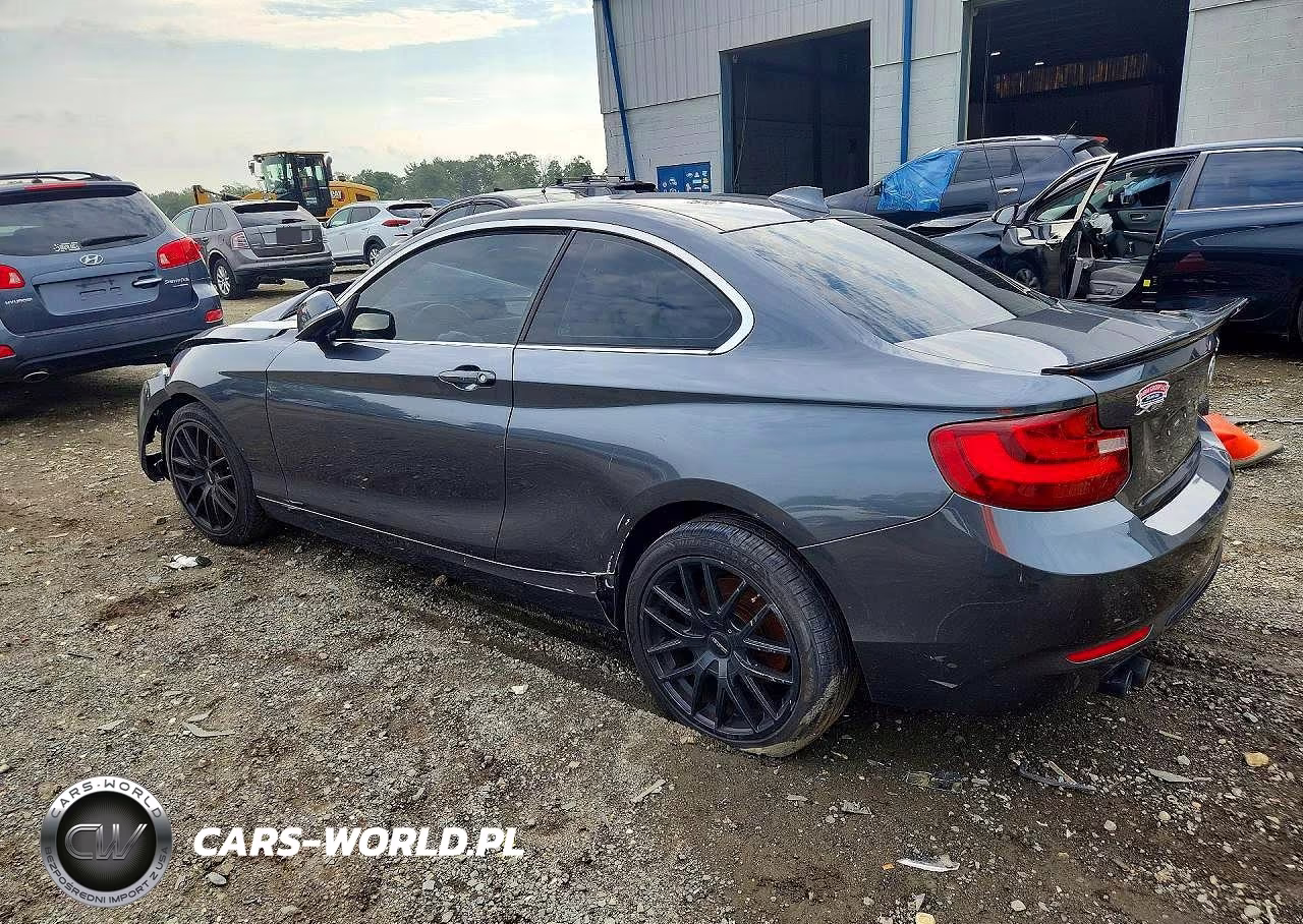 2017 BMW 230Xi VIN:WBA2H9C32HV642405 - 2