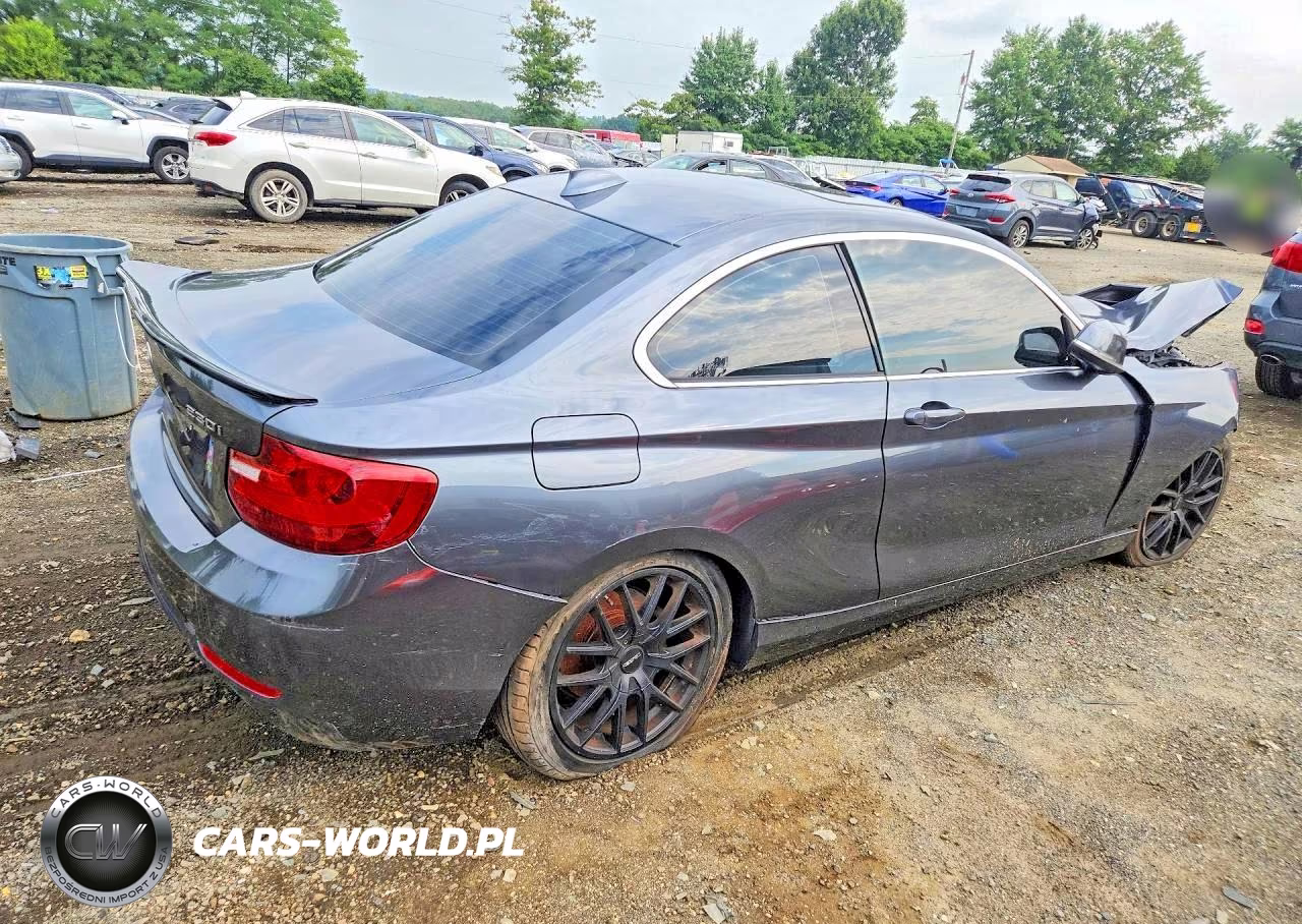 2017 BMW 230Xi VIN:WBA2H9C32HV642405 - 3