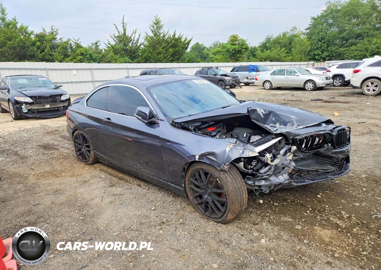 2017 BMW 230Xi VIN:WBA2H9C32HV642405 - 4