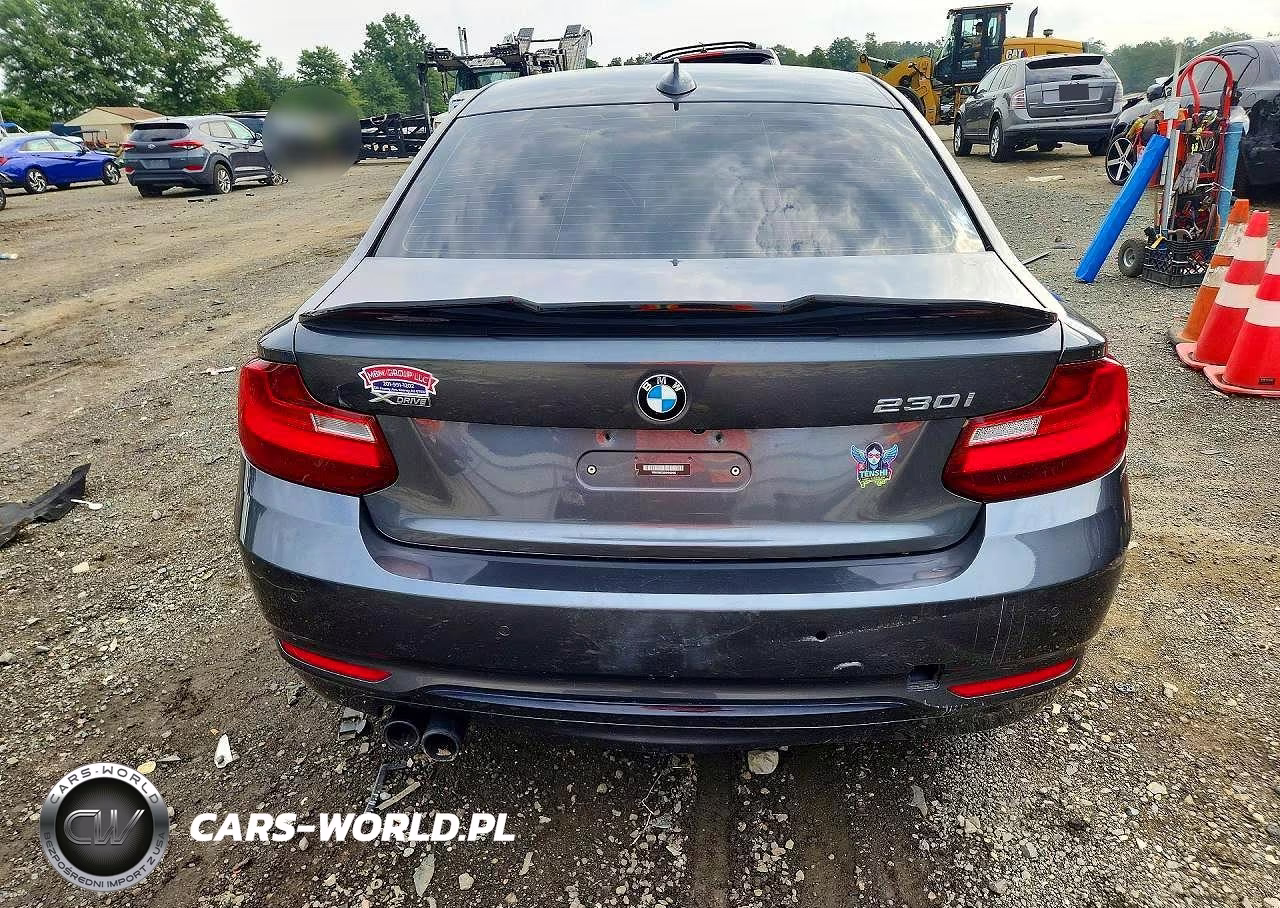 2017 BMW 230Xi VIN:WBA2H9C32HV642405 - 6