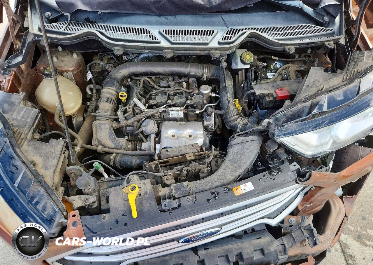 2019 Ford Ecosport Se VIN:MAJ3S2GE5KC289226 - 12
