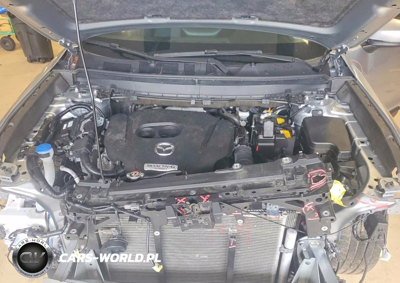 2023 Mazda Cx-9 Touring Plus VIN:JM3TCBAY4P0653646 - 12