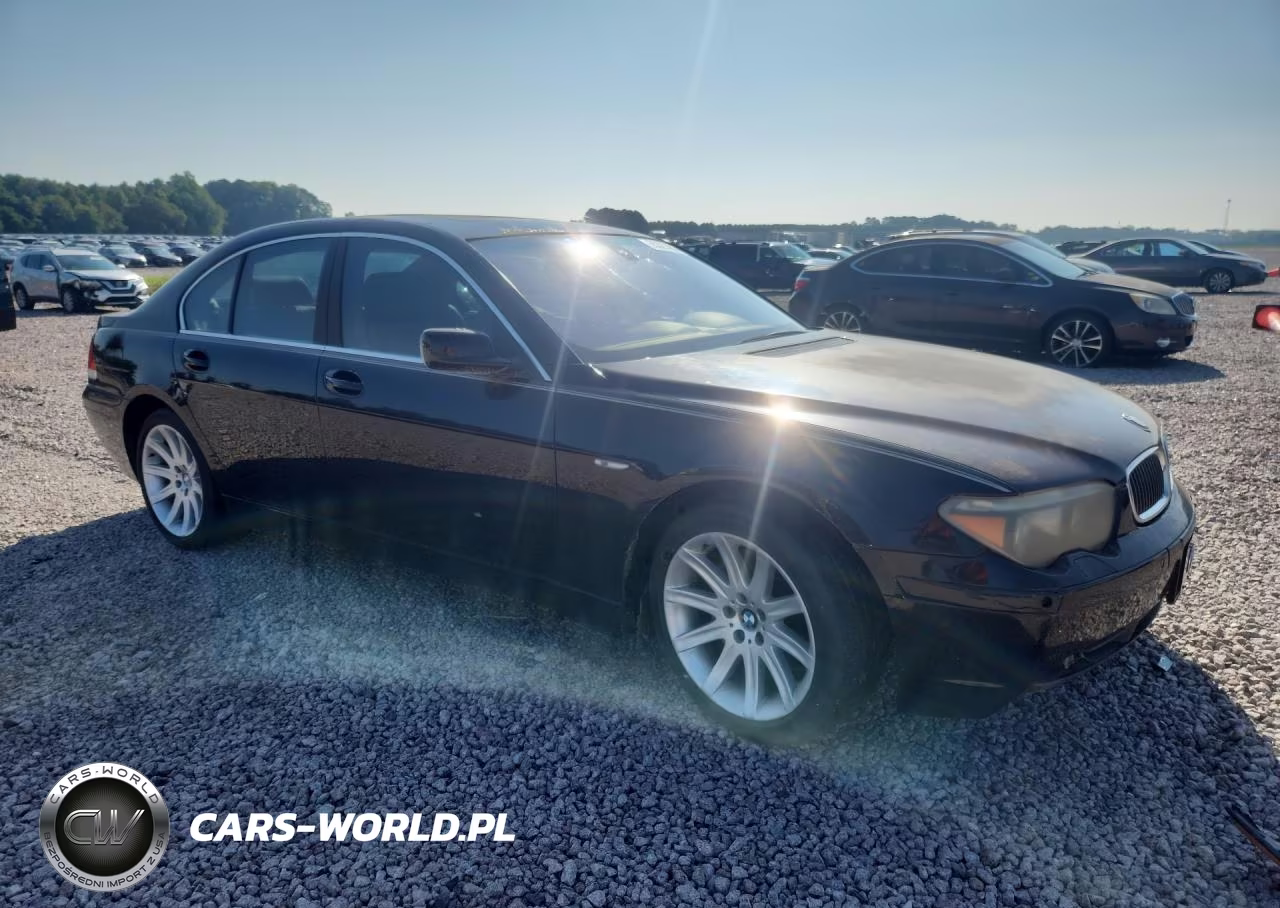 2004 BMW 745 I VIN:WBAGL63494DP70555 - 4
