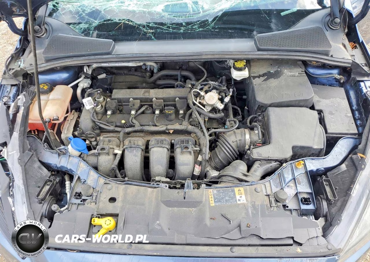 2018 Ford Focus Sel VIN:1FADP3M26JL258104 - 11