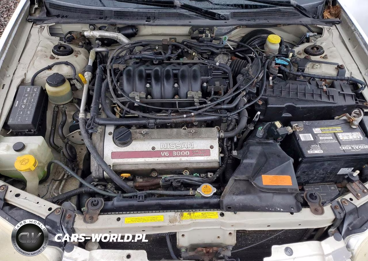 2001 Nissan Maxima Gxe VIN:JN1CA31A01T106387 - 11