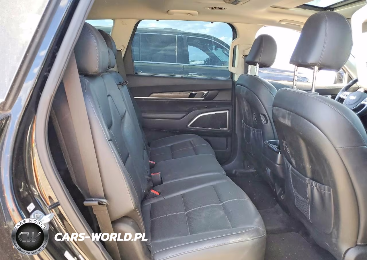 2020 Kia Telluride Ex VIN:5XYP34HC3LG022858 - 10
