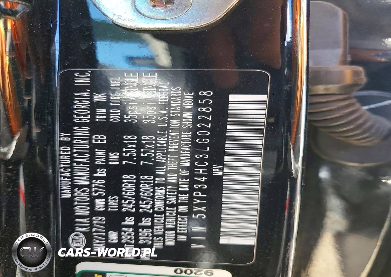 2020 Kia Telluride Ex VIN:5XYP34HC3LG022858 - 12