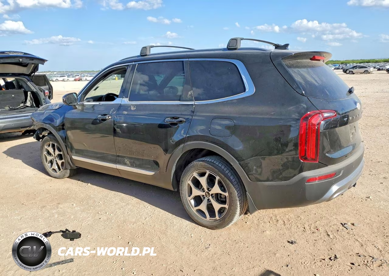 2020 Kia Telluride Ex VIN:5XYP34HC3LG022858 - 2