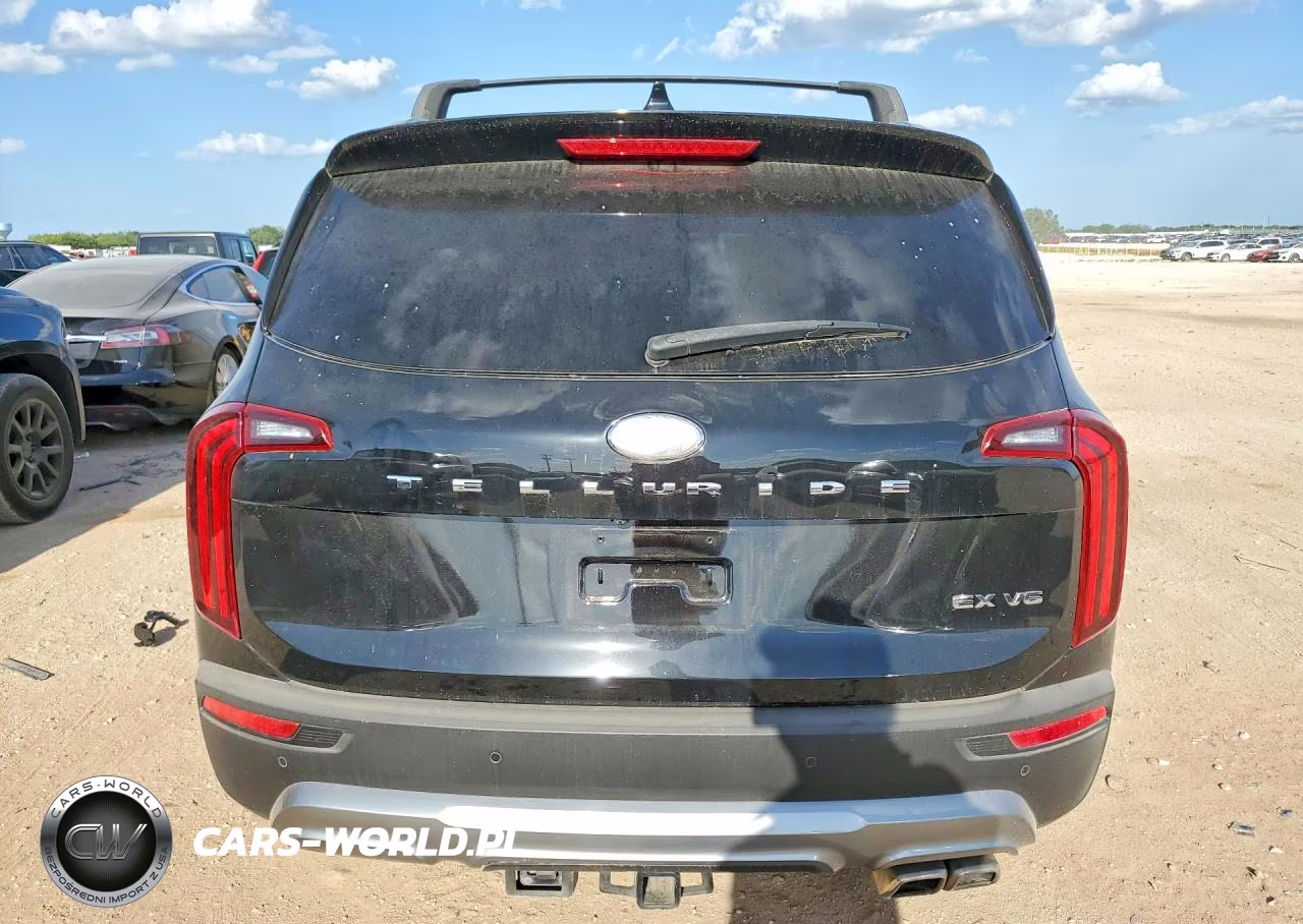 2020 Kia Telluride Ex VIN:5XYP34HC3LG022858 - 6